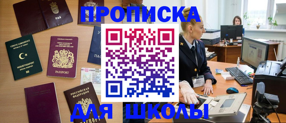 где прописаться в Каргополе